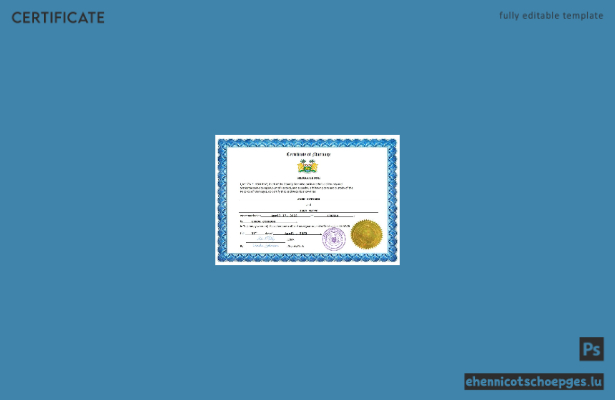 Sierra Leone Heiratsurkunde – Beispiel-Word- und PDF-Datei (Vorschau)